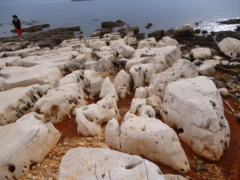 P1020322 (800x600).jpg