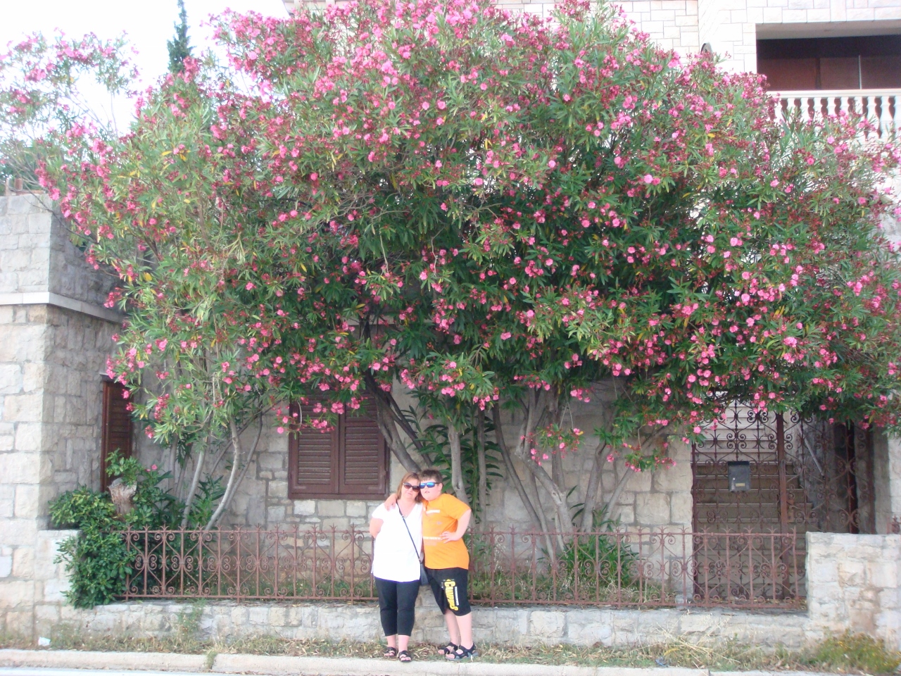 DSC03670 (1280x960).jpg