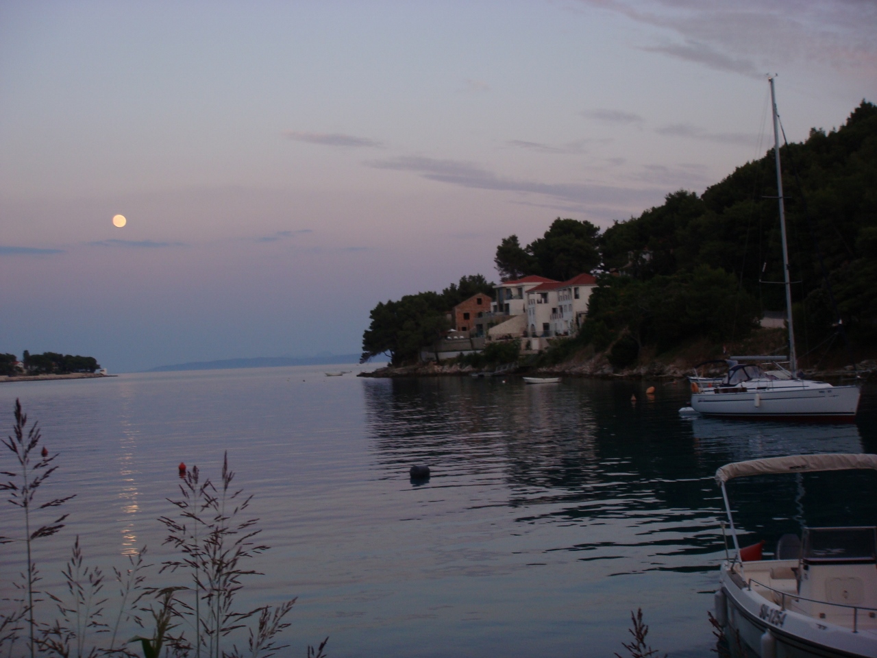 DSC03678 (1280x960).jpg