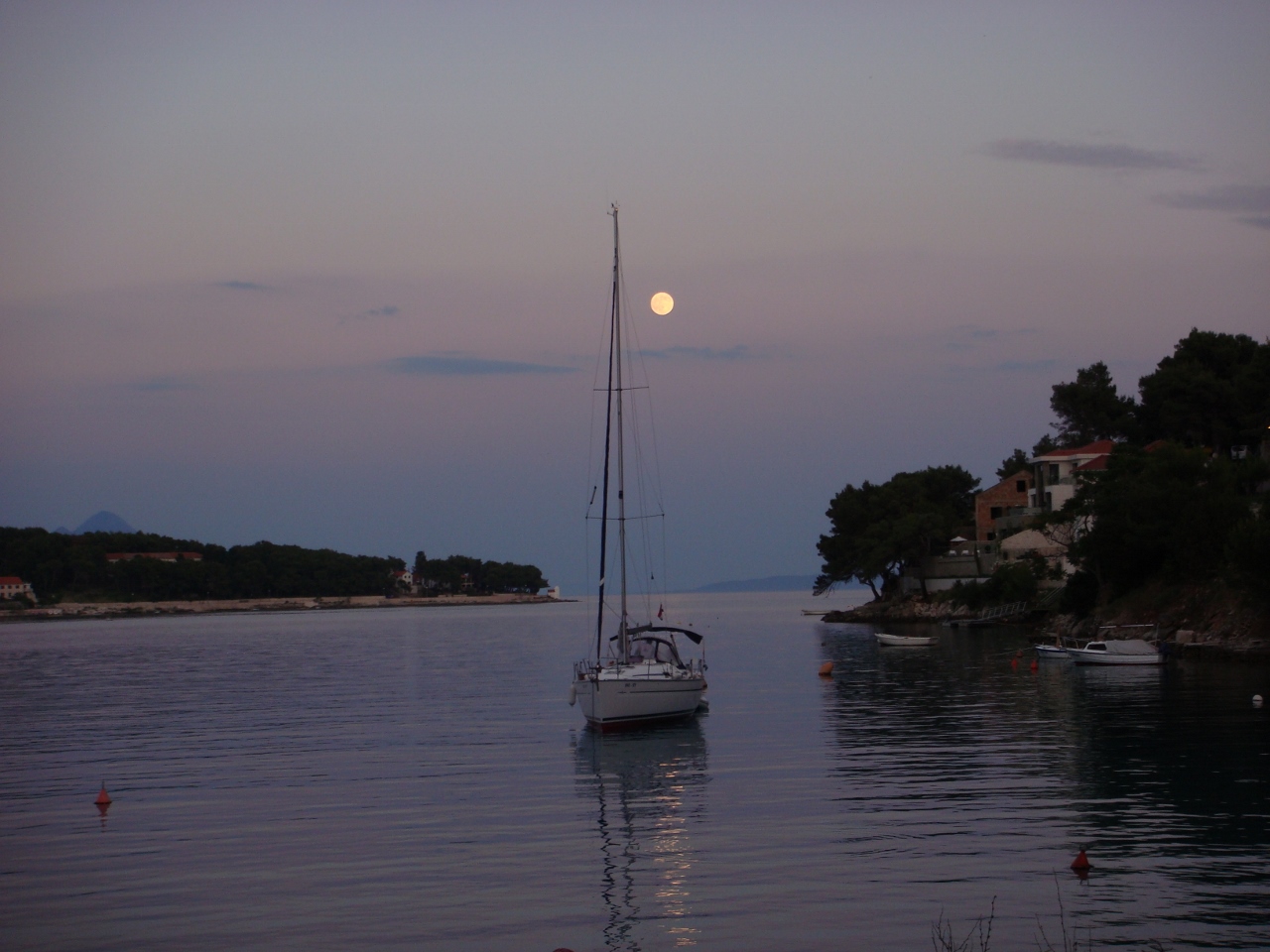 DSC03682 (1280x960).jpg