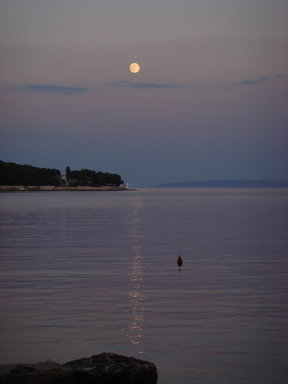 DSC03677 (960x1280).jpg