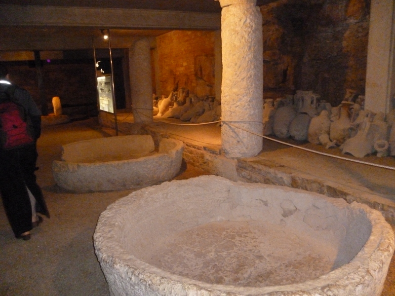 P1010679 (800x600).jpg