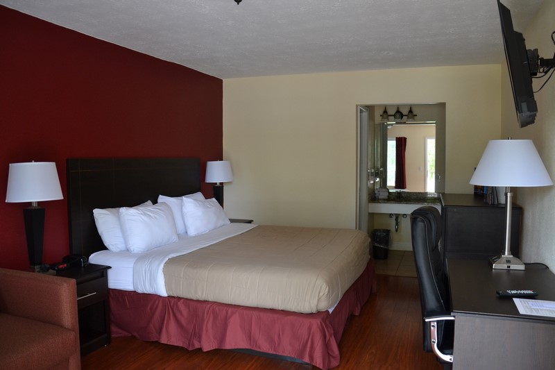 DSC_0667 (Kopiowanie).JPG