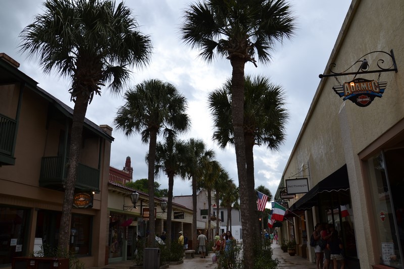 DSC_0846 (Kopiowanie).JPG