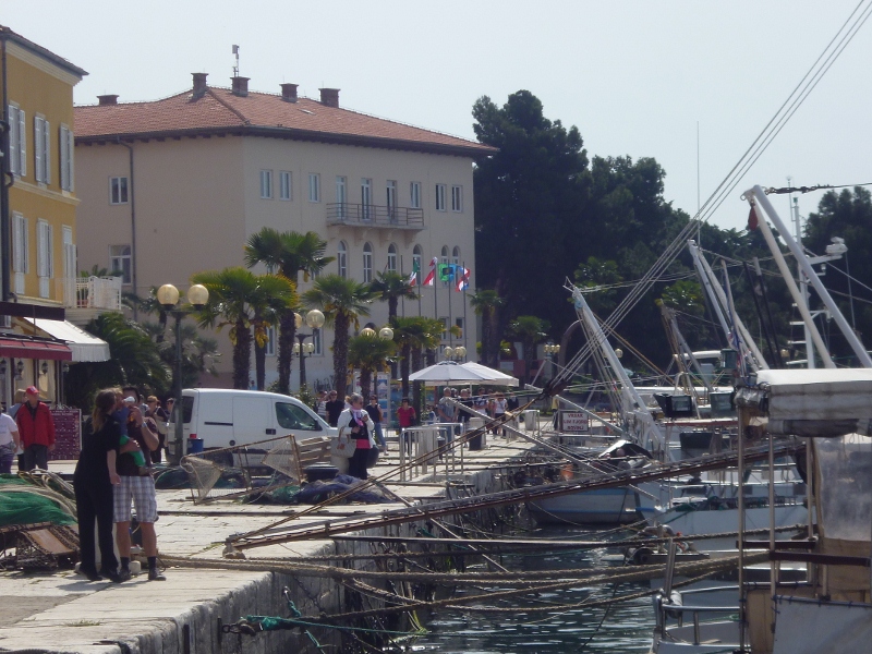 P1010986 (800x600).jpg