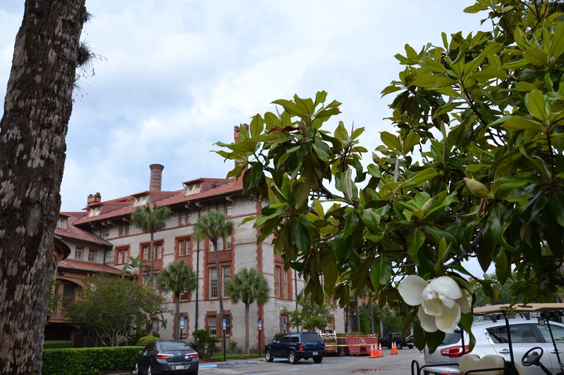 DSC_0959 (Kopiowanie).JPG