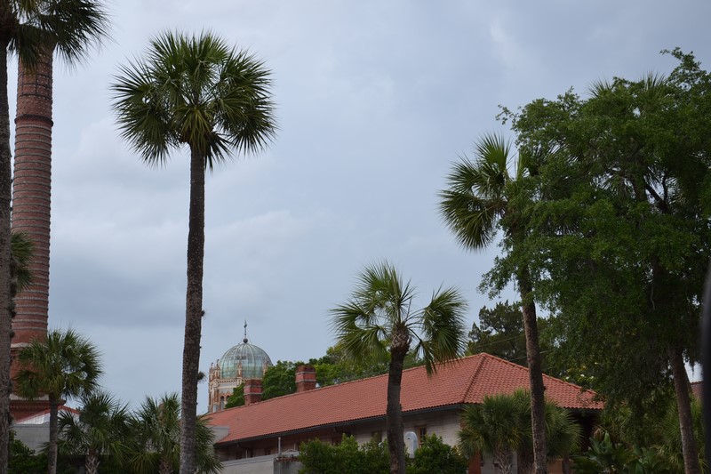 DSC_0967 (Kopiowanie).JPG