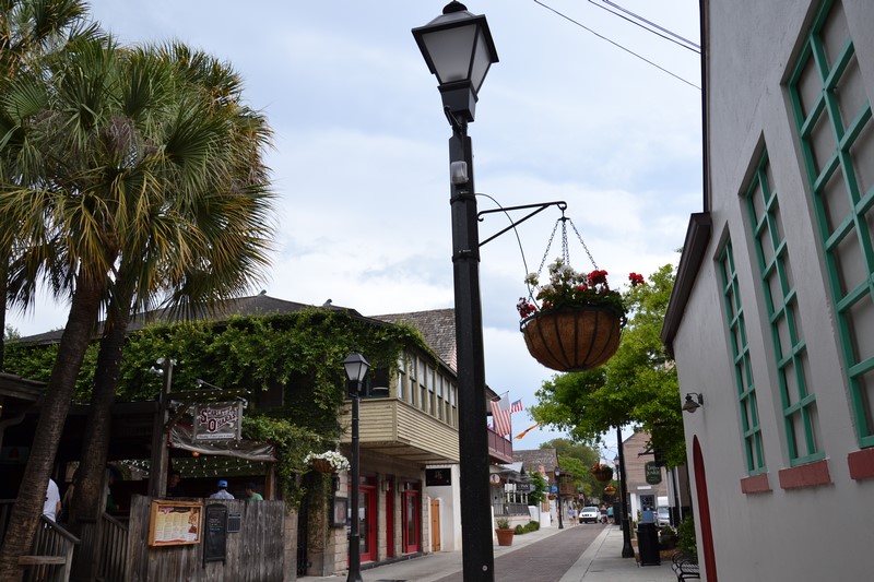 DSC_0979 (Kopiowanie).JPG