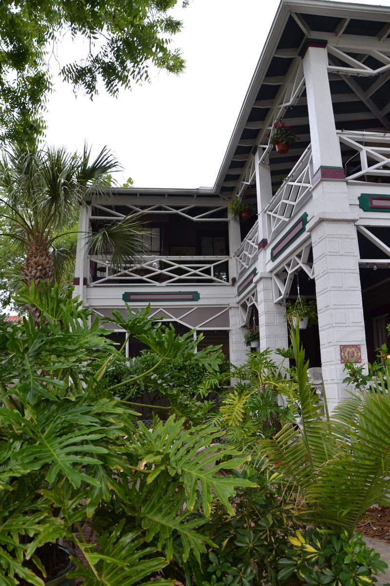 DSC_0002 (Kopiowanie).JPG