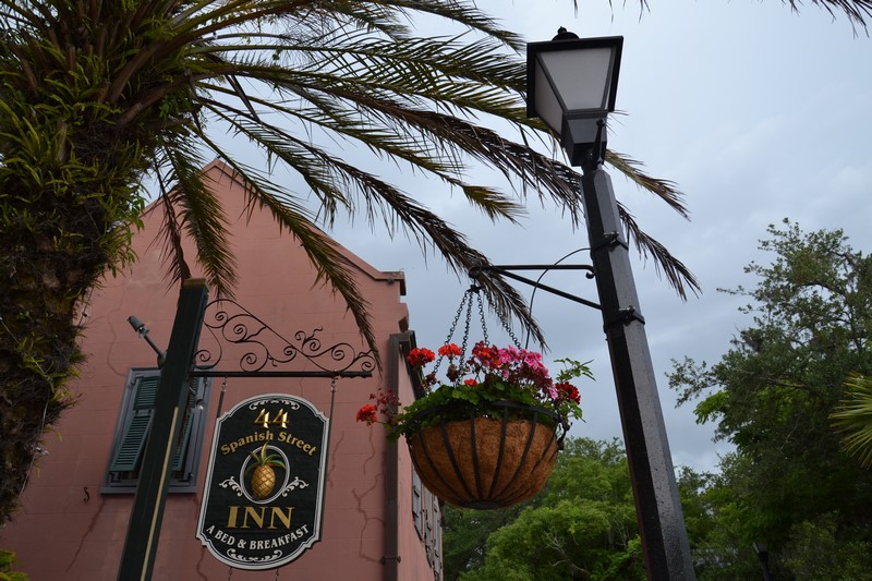 DSC_0027 (Kopiowanie).JPG