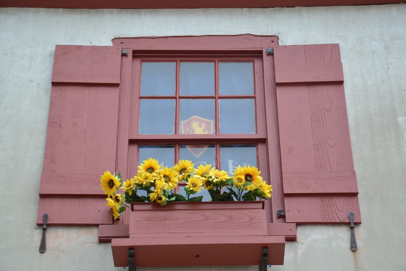 DSC_0032 (Kopiowanie).JPG