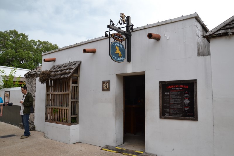 DSC_0041 (Kopiowanie).JPG