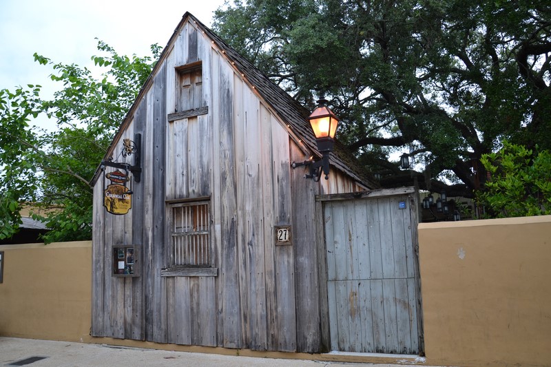 DSC_0045 (Kopiowanie).JPG