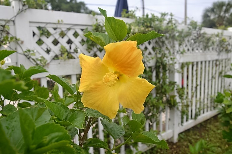 DSC_0079 (Kopiowanie).JPG