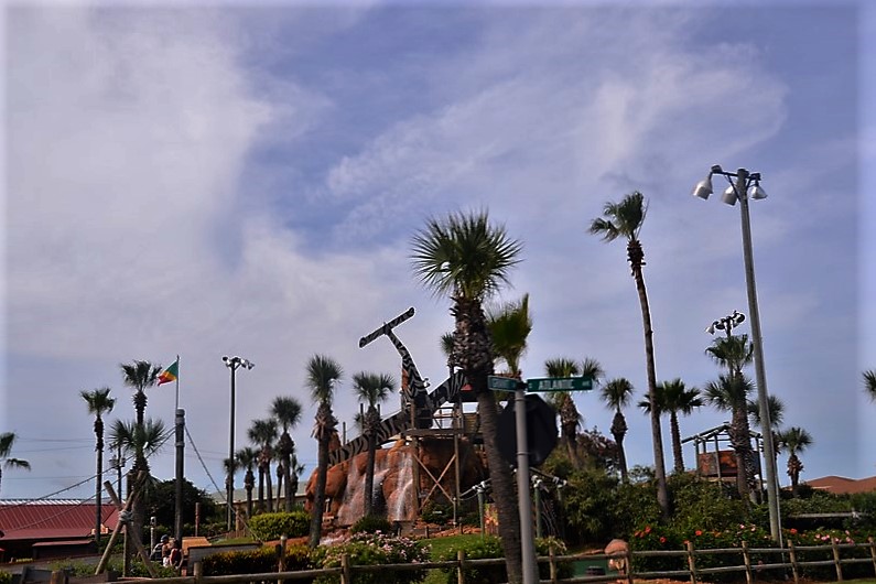 DSC_0146 (Kopiowanie).JPG