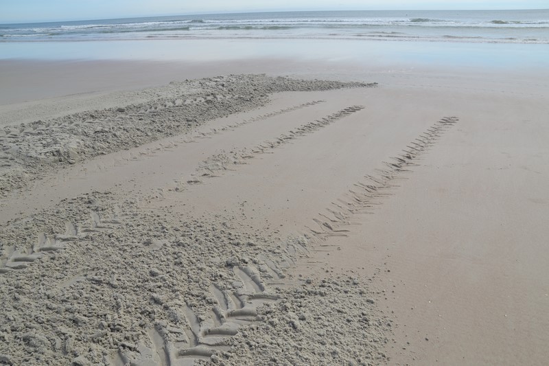 DSC_0167 (Kopiowanie).JPG