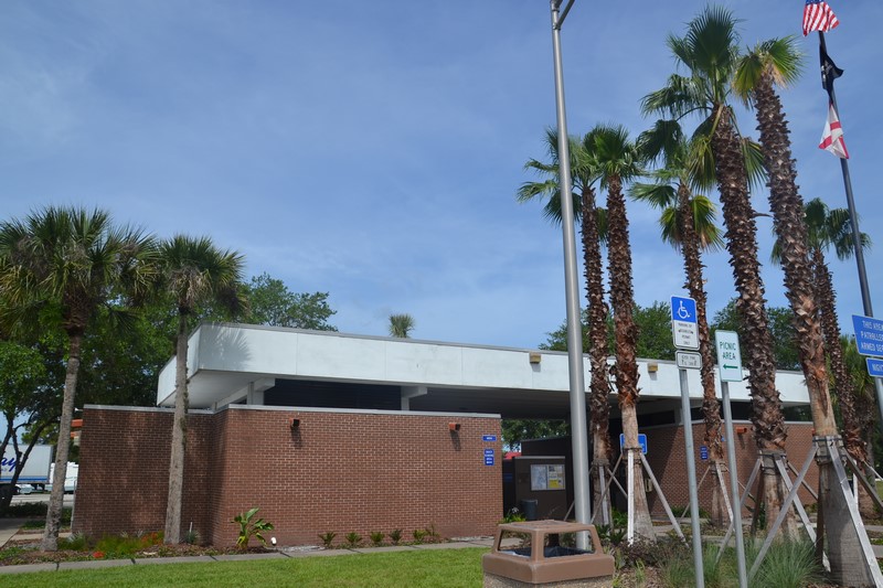 DSC_0201 (Kopiowanie).JPG