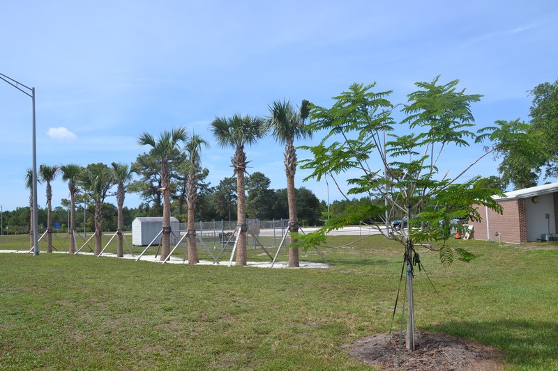 DSC_0202 (Kopiowanie).JPG