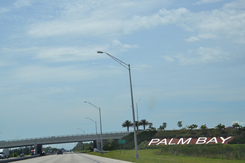 DSC_0217 (Kopiowanie).JPG