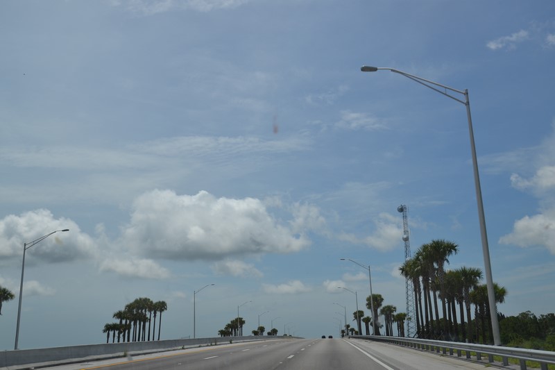 DSC_0225 (Kopiowanie).JPG