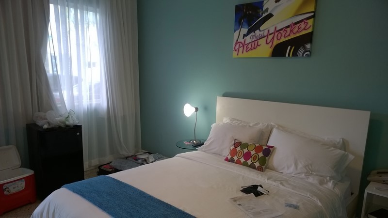 DSC_0253 (Kopiowanie).jpg