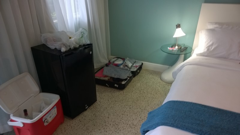 DSC_0254 (Kopiowanie).jpg