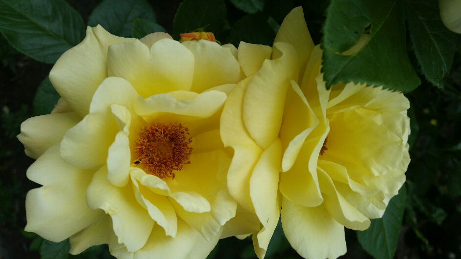 2016-06-23 22.15.03.jpg