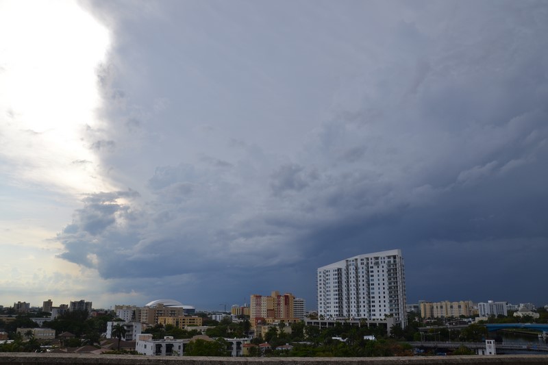 DSC_0269 (Kopiowanie).JPG