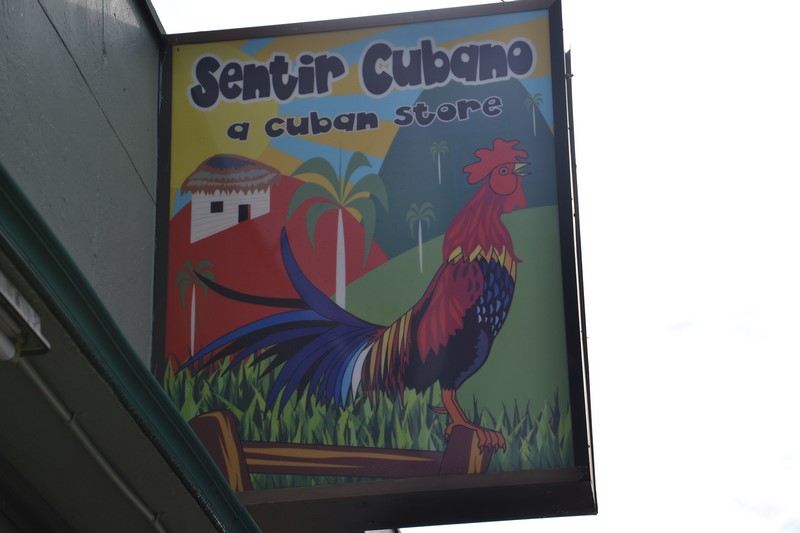 DSC_0282 (Kopiowanie).JPG