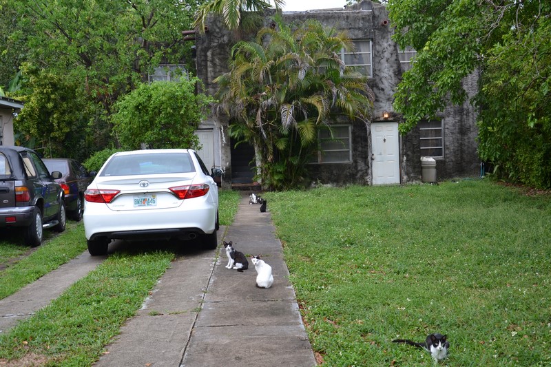 DSC_0309 (Kopiowanie).JPG