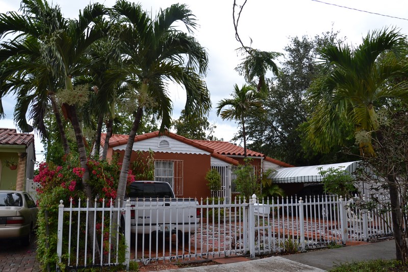 DSC_0310 (Kopiowanie).JPG