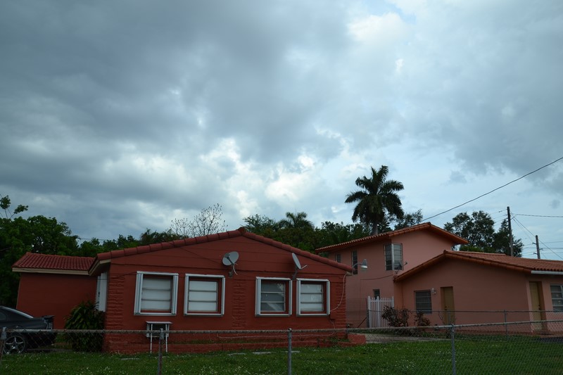 DSC_0319 (Kopiowanie).JPG