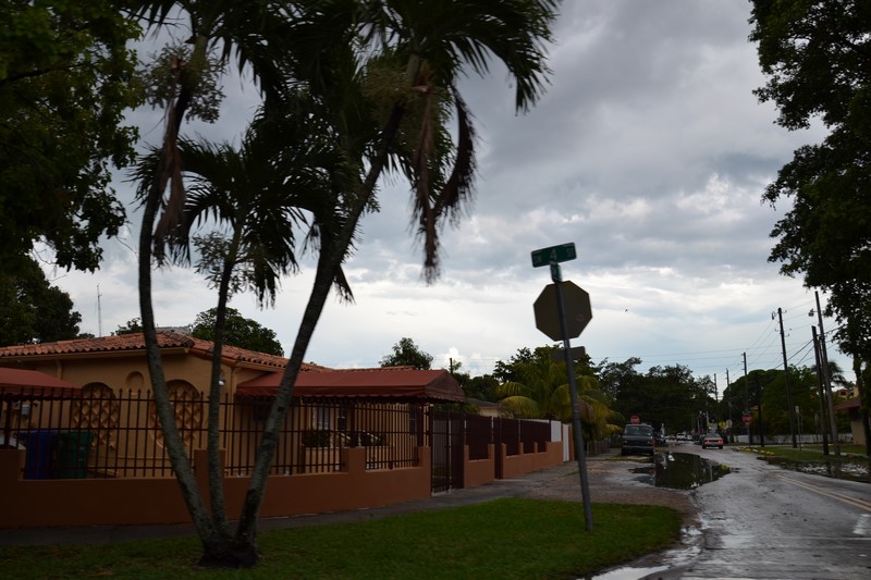 DSC_0335 (Kopiowanie).JPG