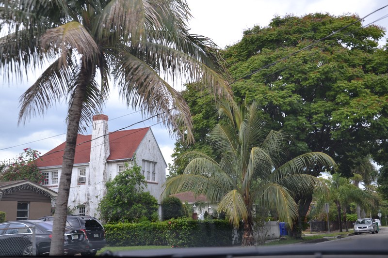 DSC_0355 (Kopiowanie).JPG