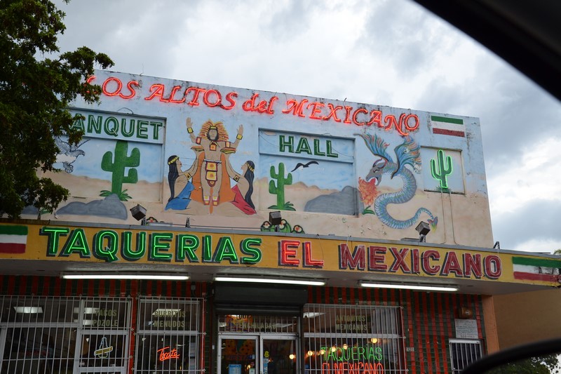 DSC_0376 (Kopiowanie).JPG