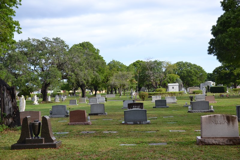 DSC_0288 (Kopiowanie).JPG