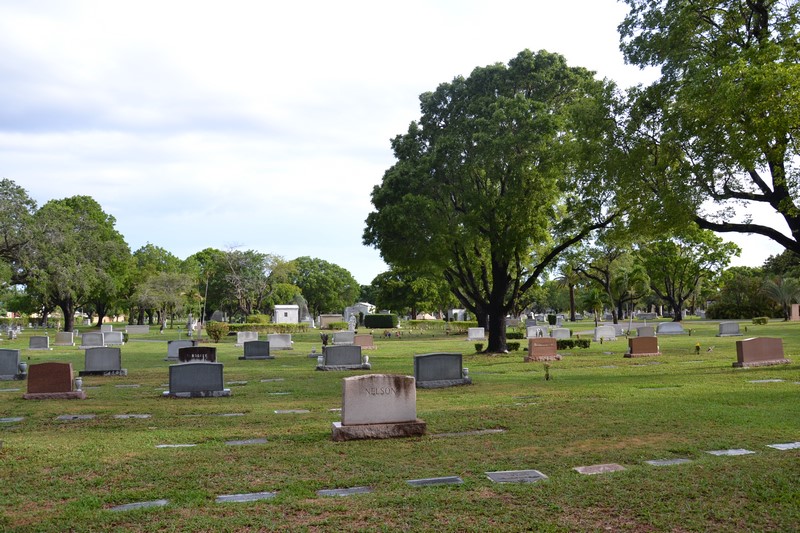 DSC_0289 (Kopiowanie).JPG