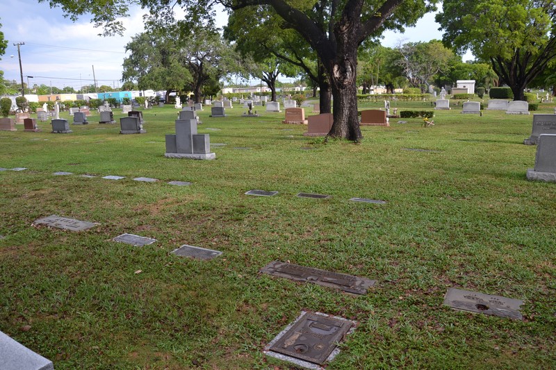 DSC_0291 (Kopiowanie).JPG