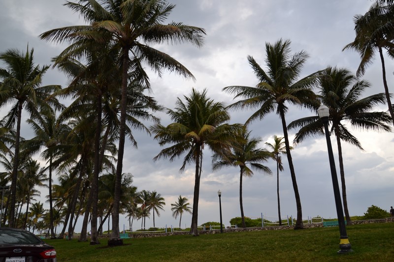 DSC_0421 (Kopiowanie).JPG