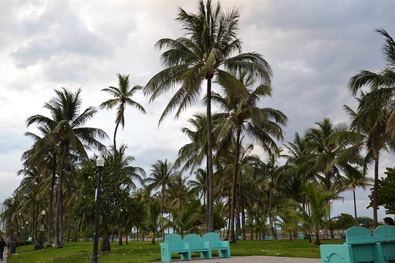 DSC_0430 (Kopiowanie).JPG