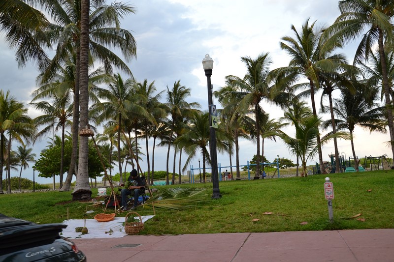 DSC_0433 (Kopiowanie).JPG