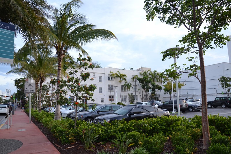 DSC_0435 (Kopiowanie).JPG