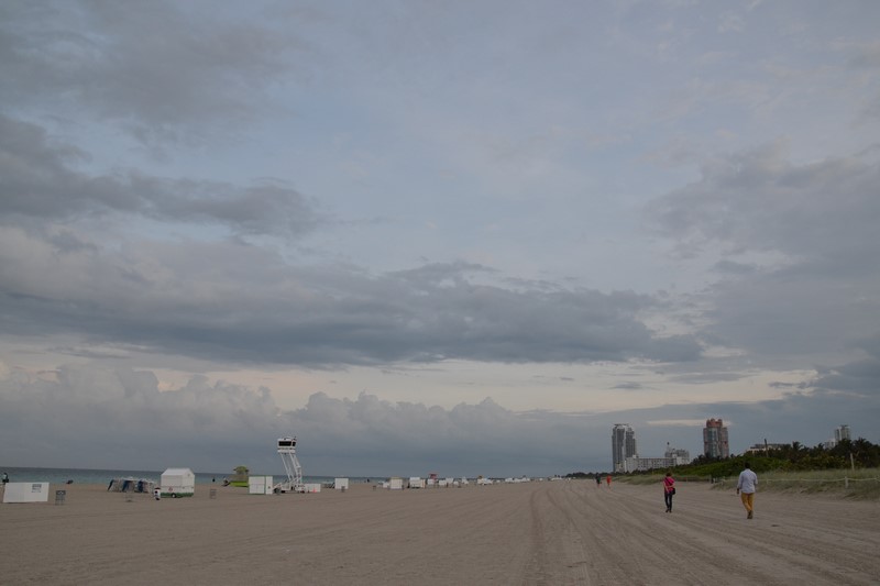 DSC_0446 (Kopiowanie).JPG