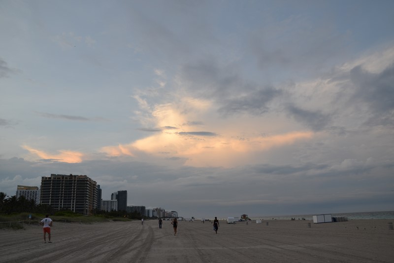 DSC_0447 (Kopiowanie).JPG