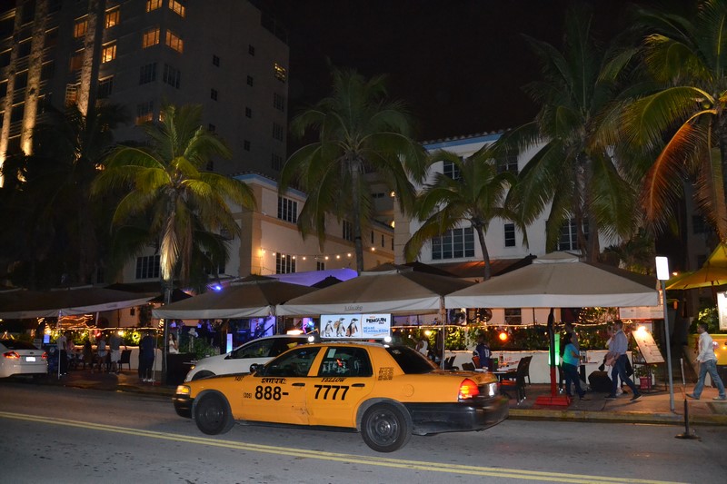 DSC_0504 (Kopiowanie).JPG