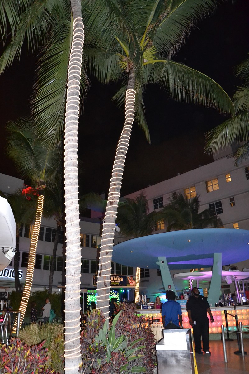 DSC_0521 (Kopiowanie).JPG