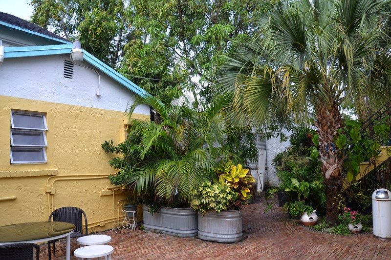 DSC_0559 (Kopiowanie).JPG