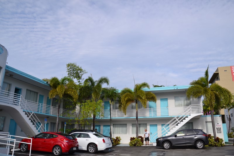 DSC_0564 (Kopiowanie).JPG