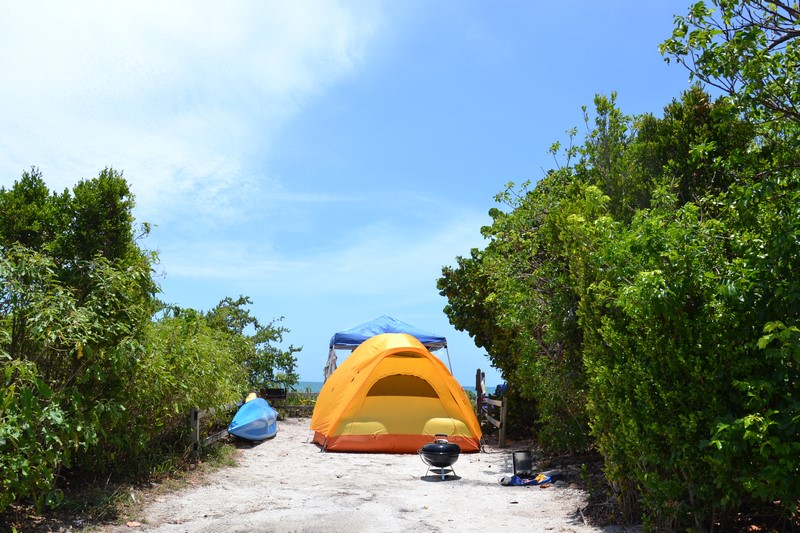 DSC_0388 (Kopiowanie).JPG