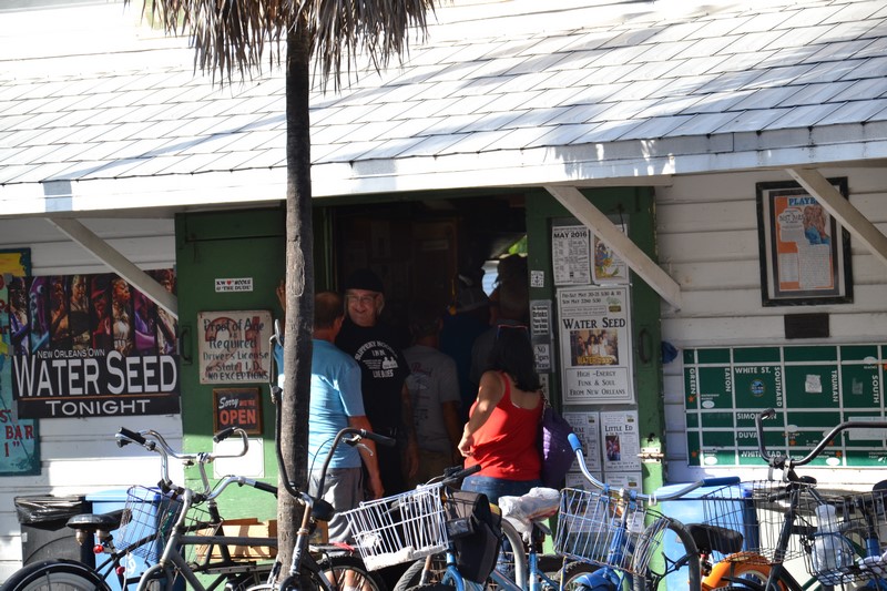 DSC_0654 (Kopiowanie).JPG